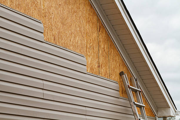 Professional Siding Repair technician working in California, KY